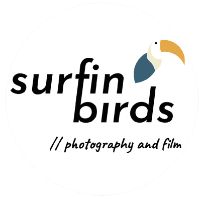 Logo Surfin Birds