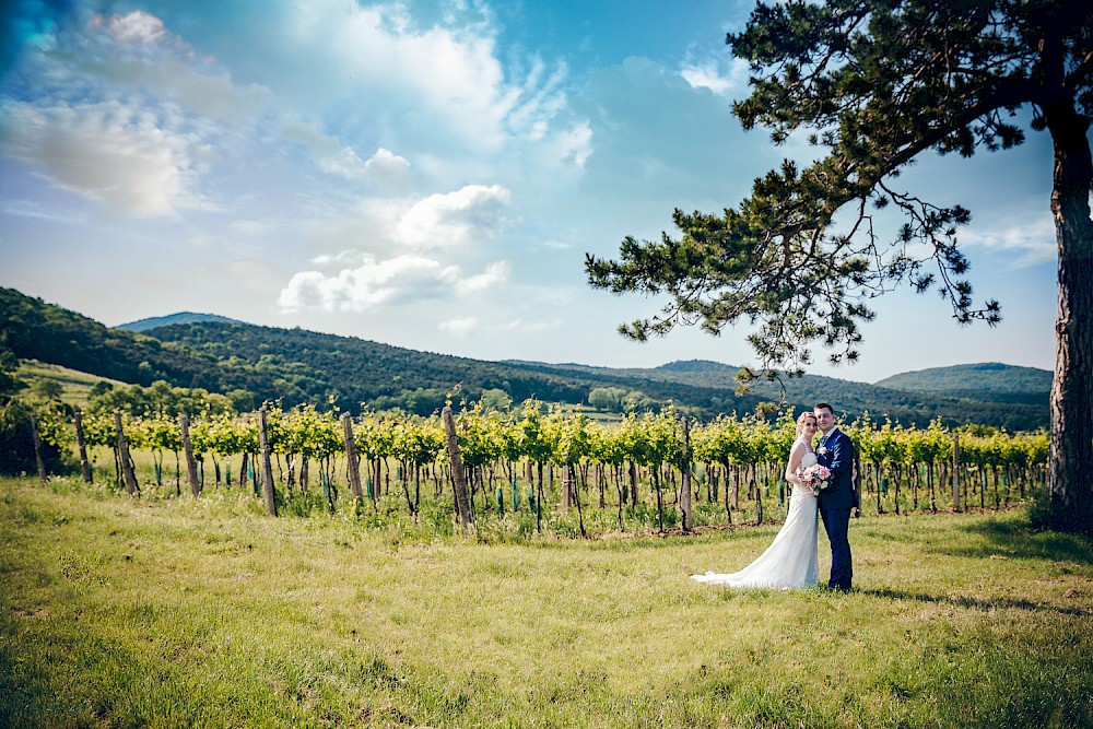 reportage Hochzeit in den Weinbergen 37