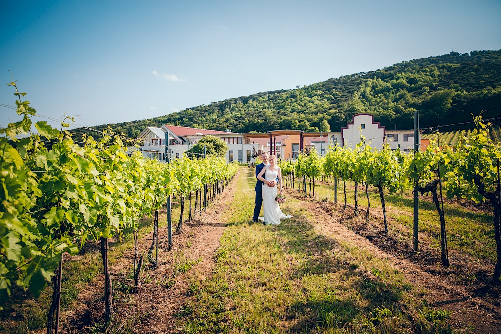 reportage Hochzeit in den Weinbergen 39