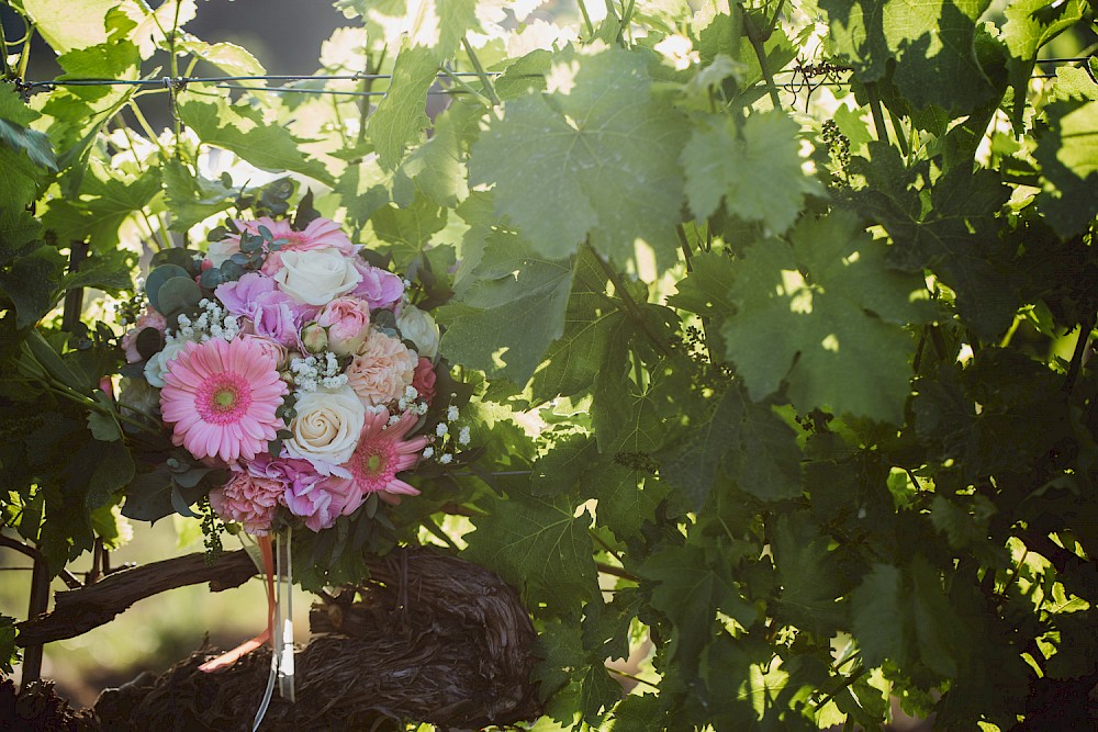 reportage Hochzeit in den Weinbergen 43