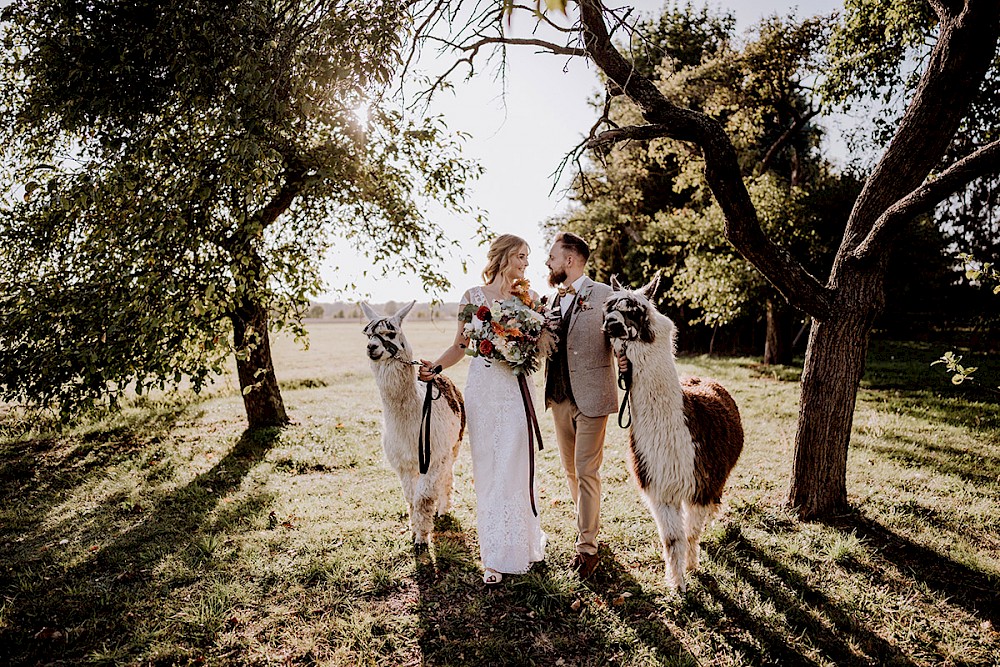 reportage AFTER WEDDING FOTOSHOOTING MIT ALPAKAS IN BERLIN 19