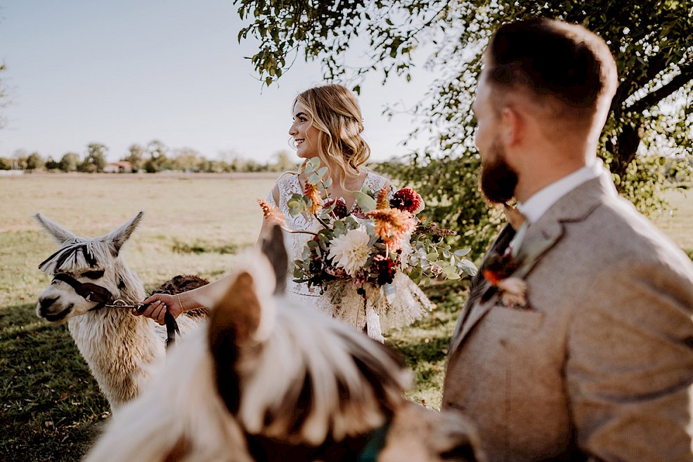 reportage AFTER WEDDING FOTOSHOOTING MIT ALPAKAS IN BERLIN 23