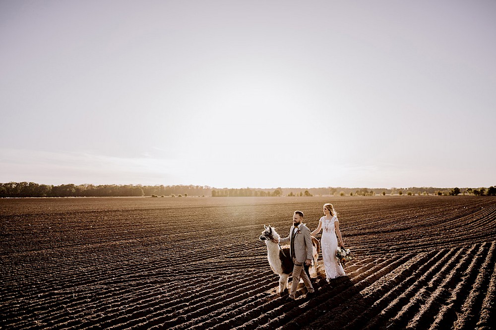 reportage AFTER WEDDING FOTOSHOOTING MIT ALPAKAS IN BERLIN 26