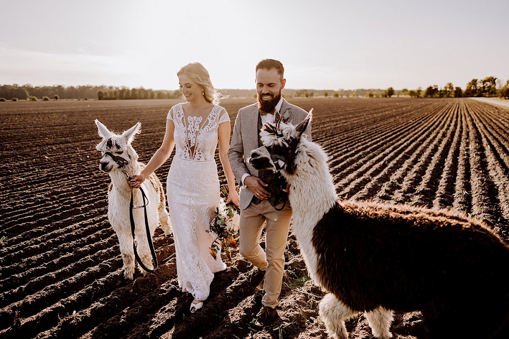 reportage AFTER WEDDING FOTOSHOOTING MIT ALPAKAS IN BERLIN 18