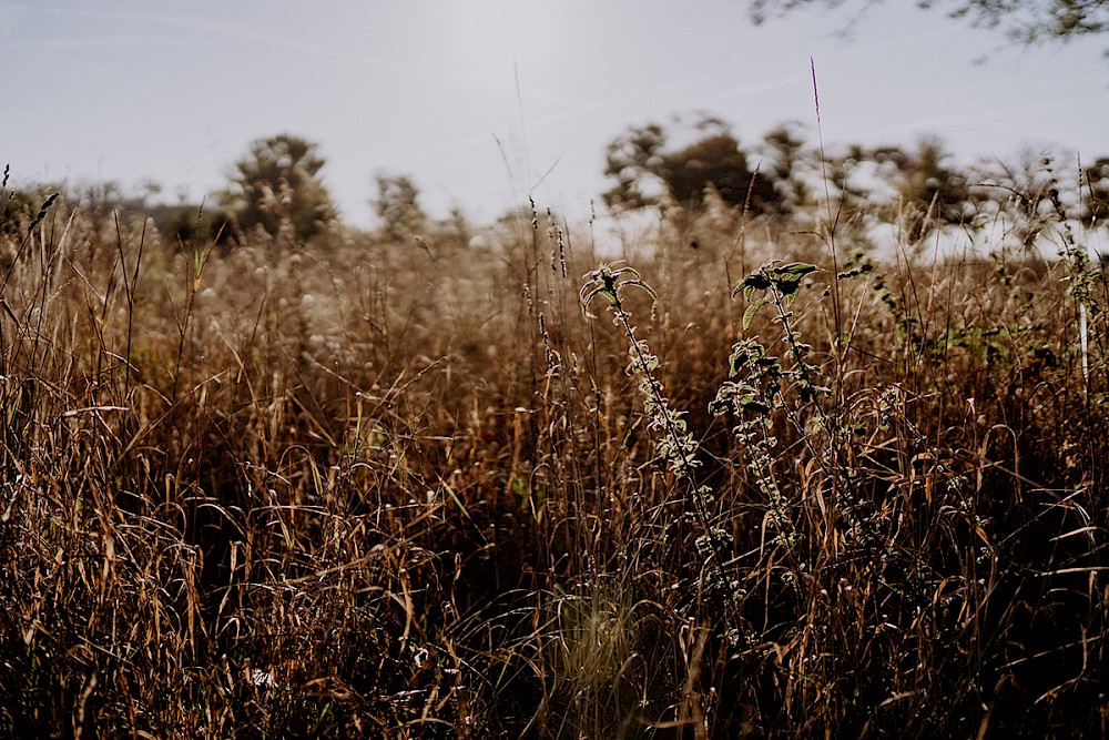 reportage SCHLOSS KARTZOW POTSDAM HOCHZEITSREPORTAGE VON HOCHZEITSLICHT 50