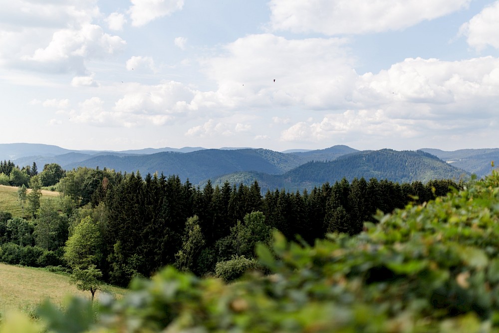 reportage Hochzeit im Schwarzwald 19