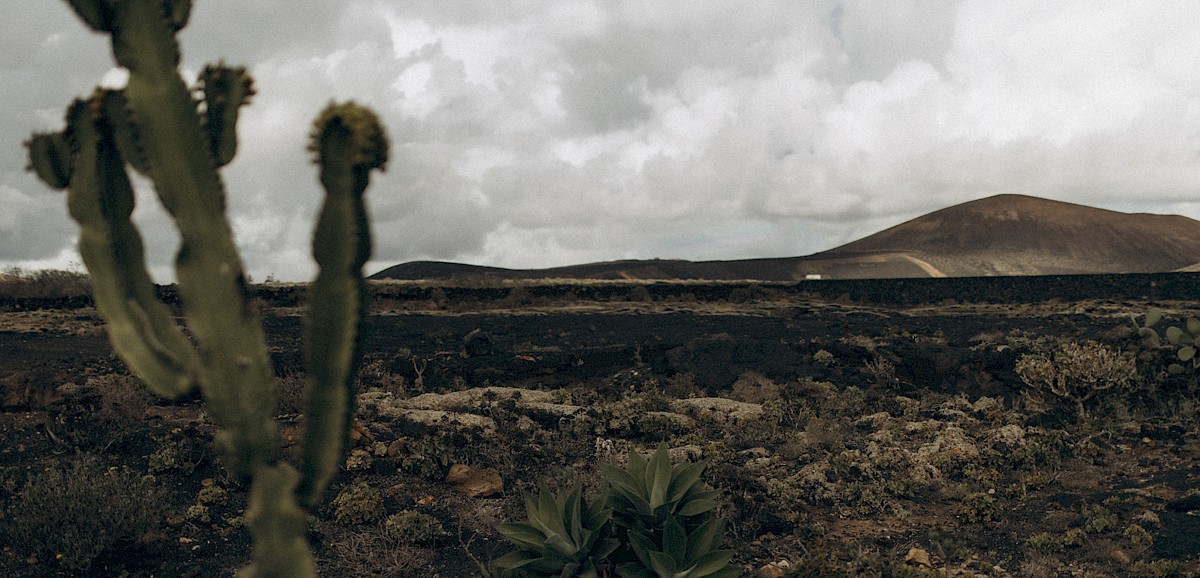 Es regnete und der Tag war trotzdem PERFEKT!