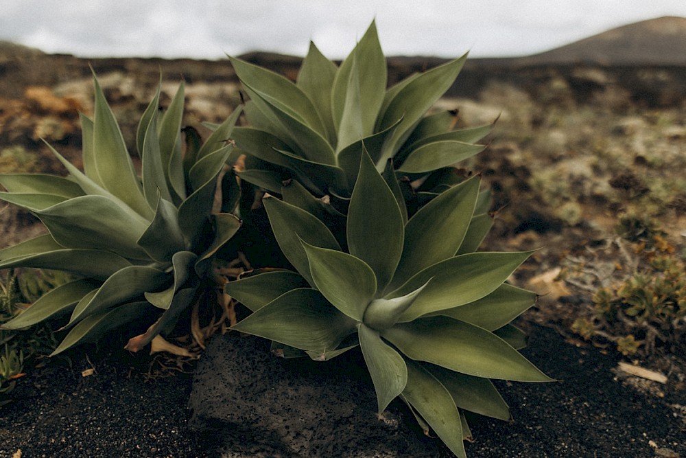 reportage Es regnete und der Tag war trotzdem PERFEKT! 5