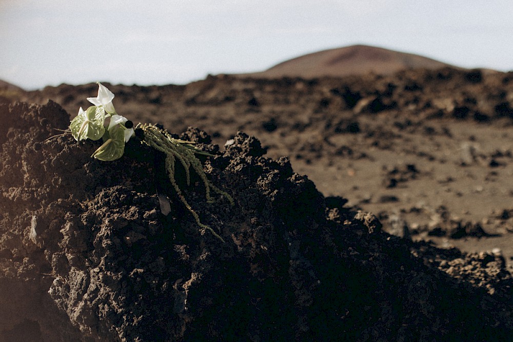 reportage Es regnete und der Tag war trotzdem PERFEKT! 26