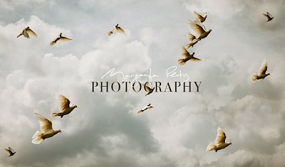 Logo Margarita Platis Photography