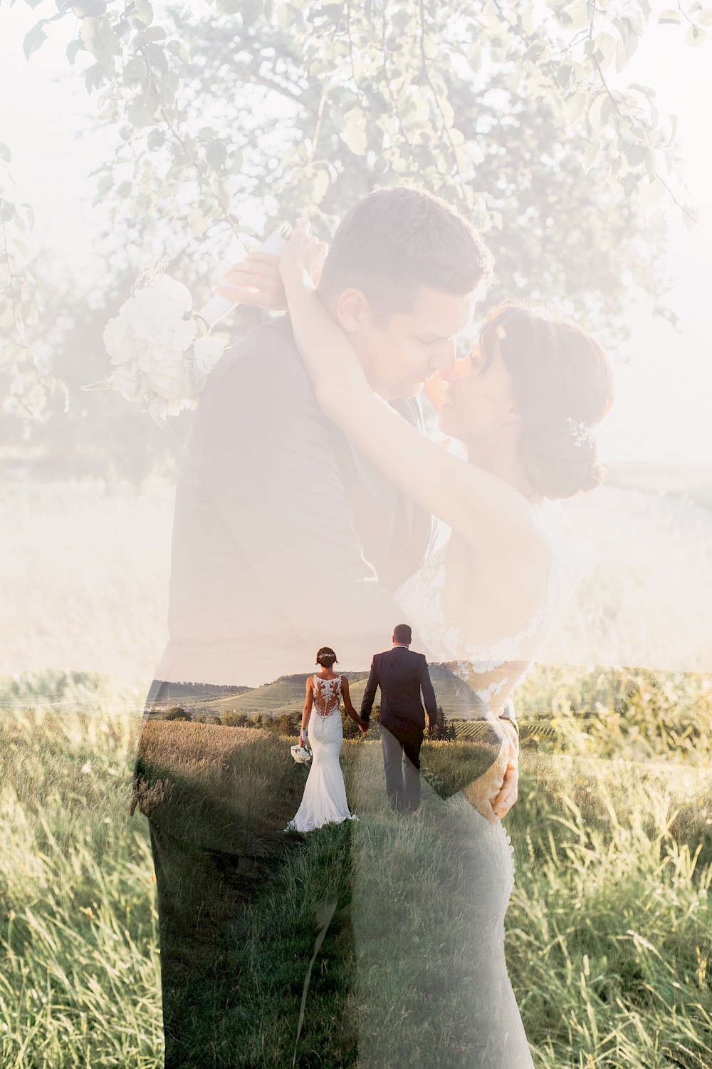 reportage Dalmatinerhochzeit in den Weinbergen 2