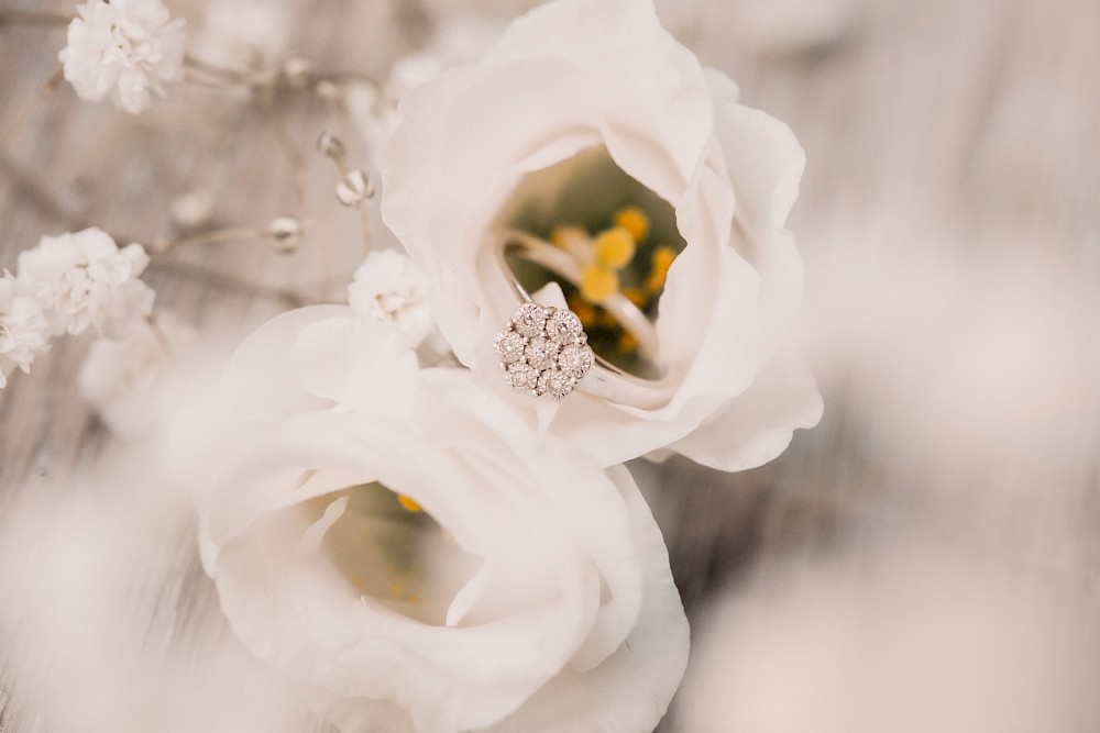 reportage Dalmatinerhochzeit in den Weinbergen 8