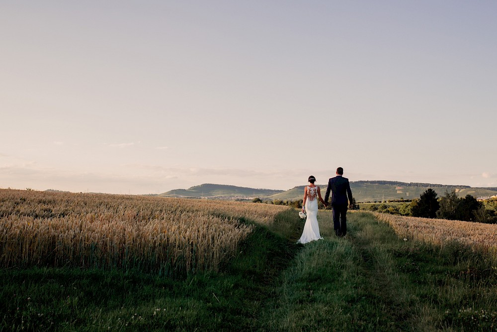 reportage Dalmatinerhochzeit in den Weinbergen 24