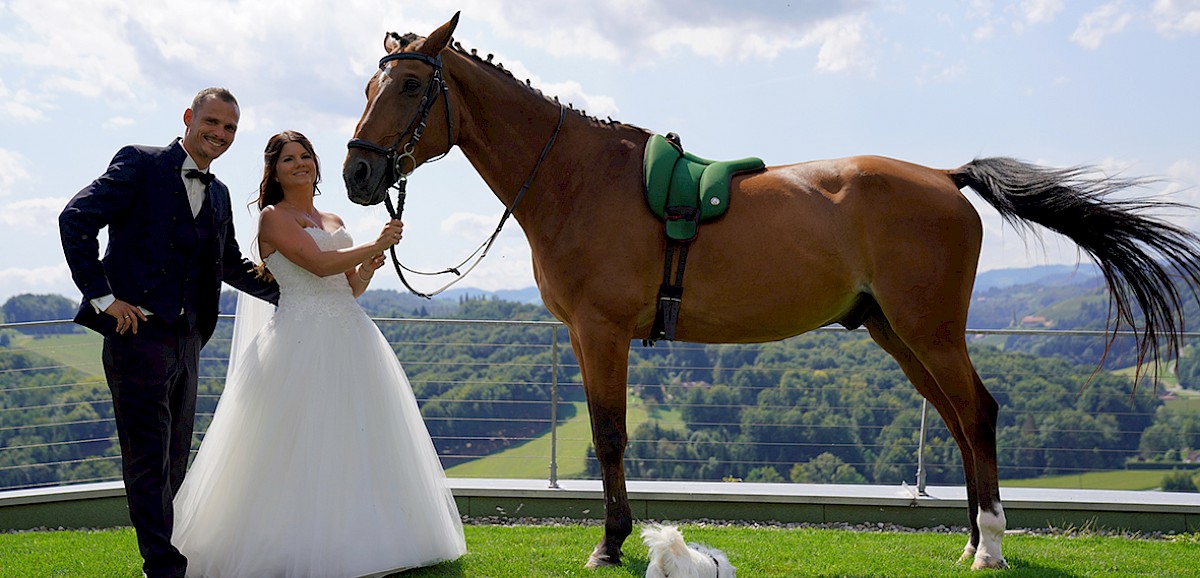 Hochzeit mit Pferd und Hund am Weingut Schilhan