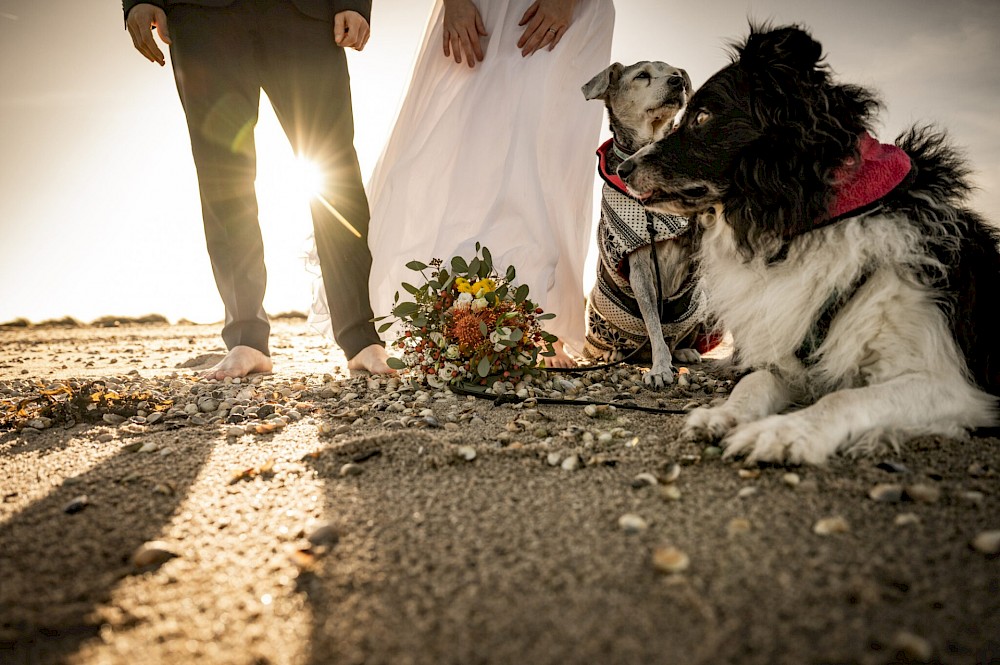 reportage Elopement Wedding am Strand von Schillig 33