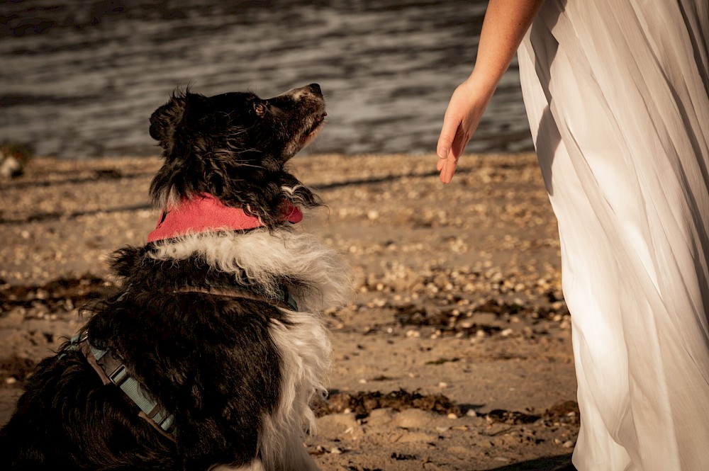 reportage Elopement Wedding am Strand von Schillig 37