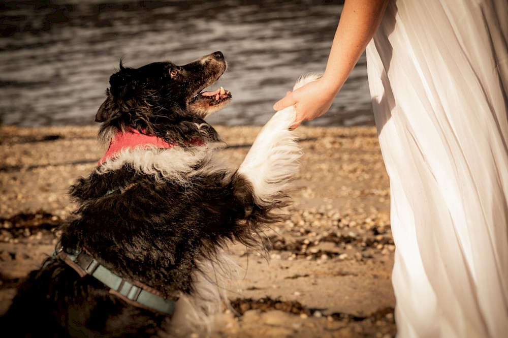 reportage Elopement Wedding am Strand von Schillig 38