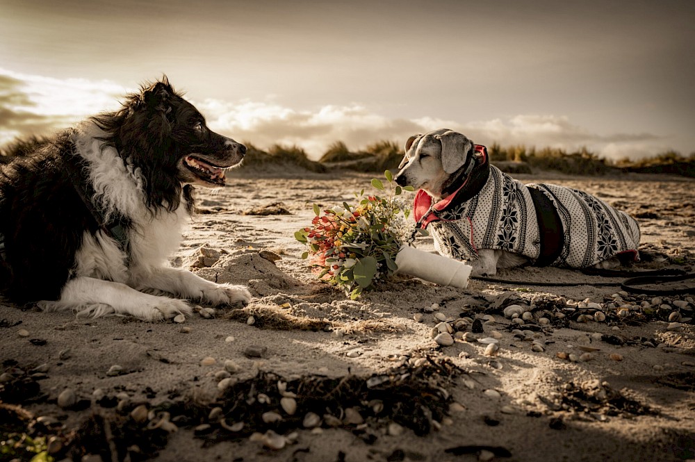 reportage Elopement Wedding am Strand von Schillig 34