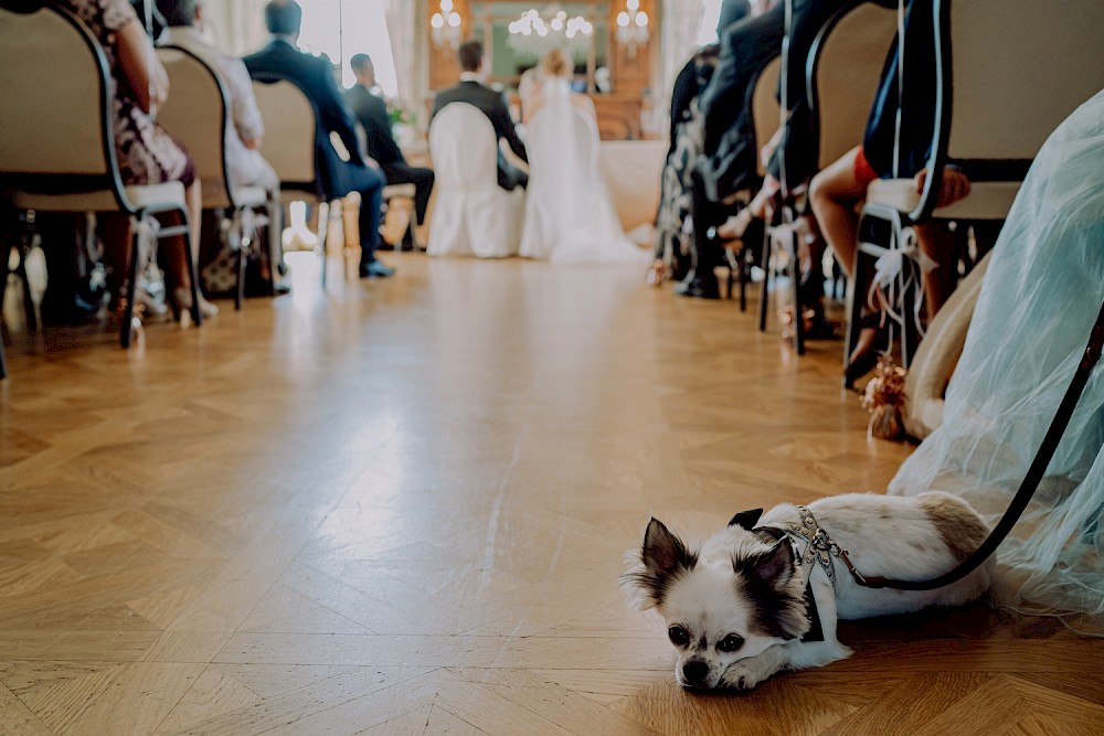 reportage Hochzeit auf Schloss Miel 13