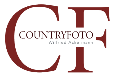 Logo Wilfried Ackermann