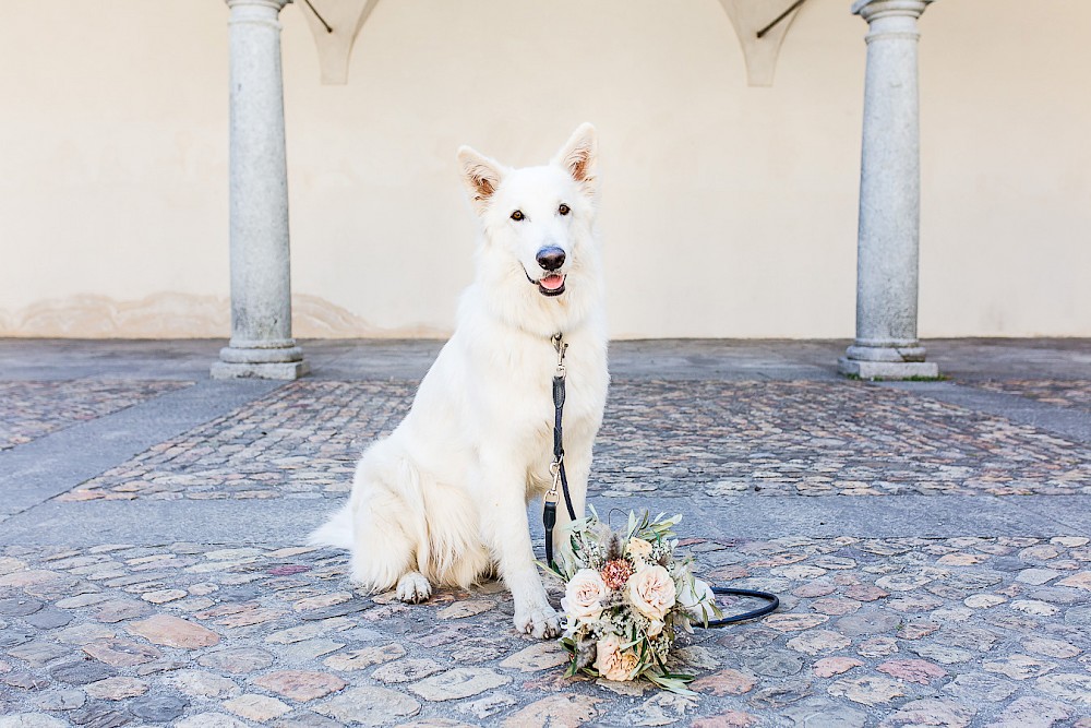 reportage Hochzeit im Stockalperschloss mit Verena & David 13