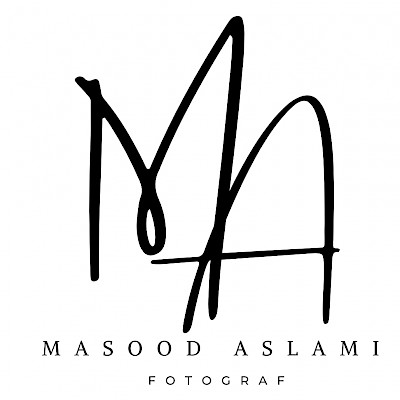 Logo Masood Aslami