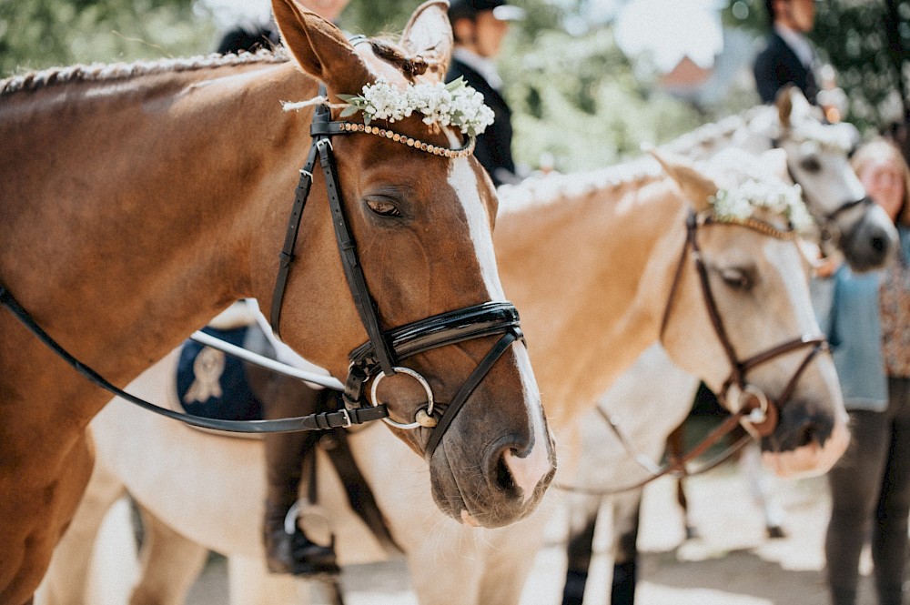 reportage Hochzeit im Grünen 7