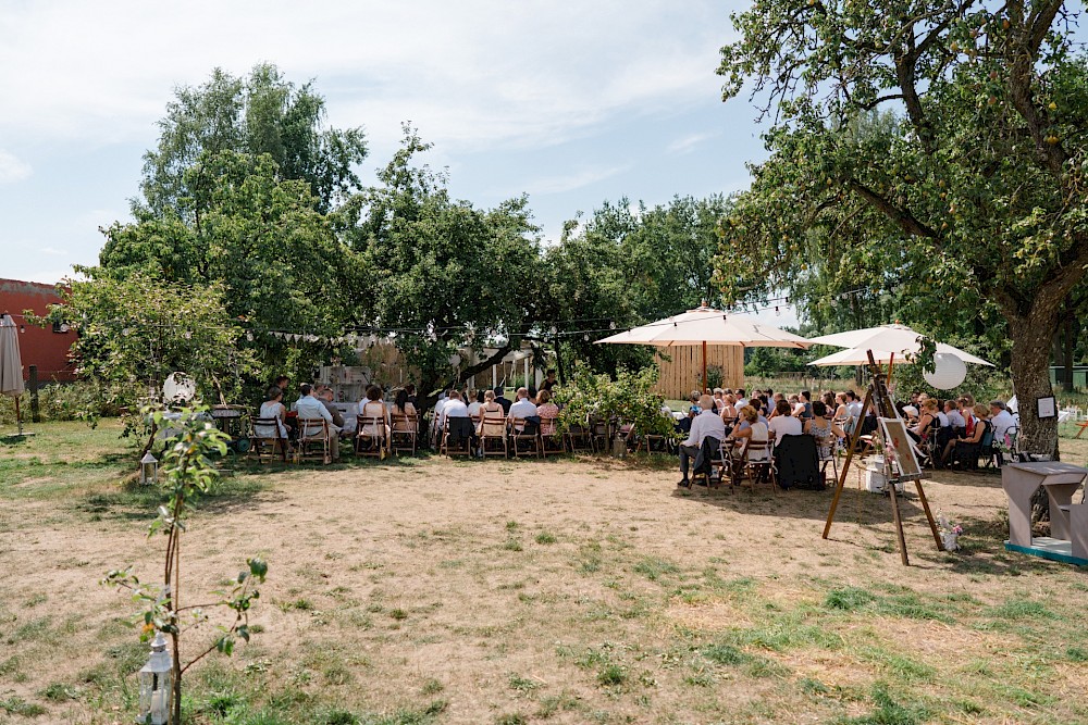 reportage Schmetterlingsgarten 18