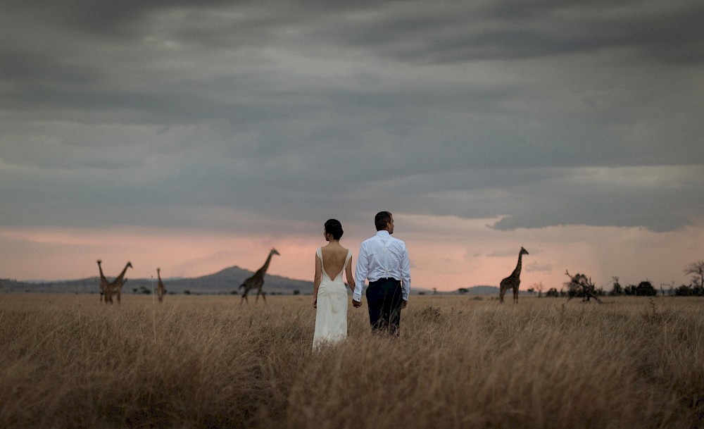 reportage Safari-Hochzeit in der Serengeti 14