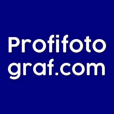 Logo profifotografcom