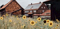 Eine kirchliche Trauung in Salzgitter