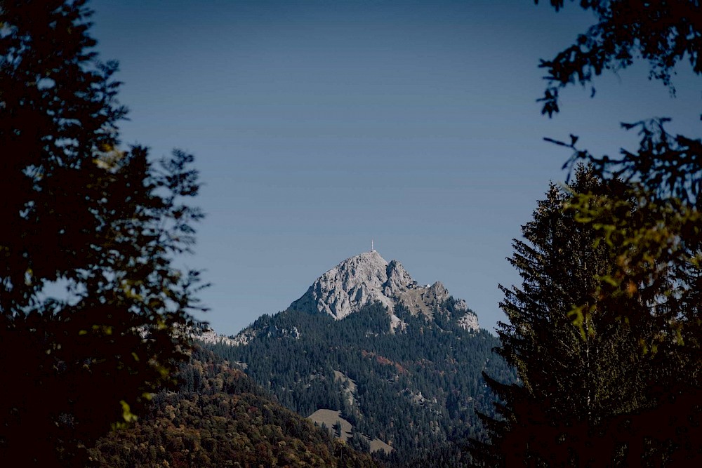 reportage 3