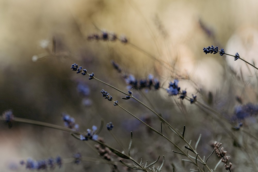 reportage 26