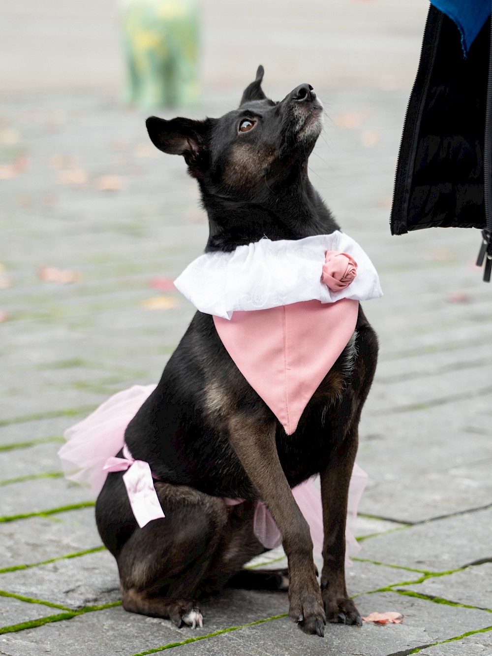 reportage Hochzeit Standesamtlich 10