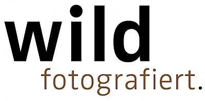 Logo Jens Wild