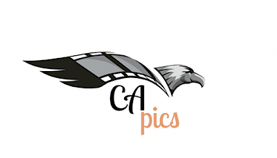Logo Capics