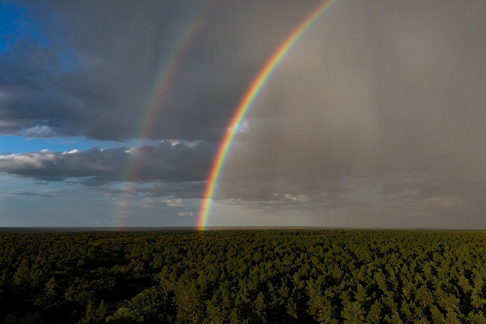 reportage Sandra und Szymon 4