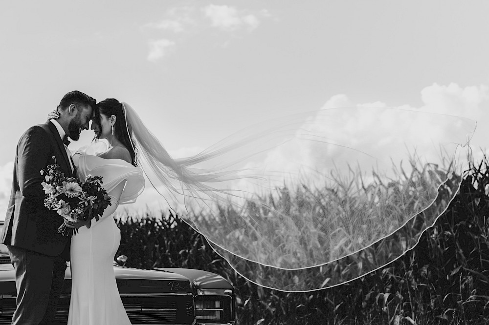 reportage Iohana und Dusty 39