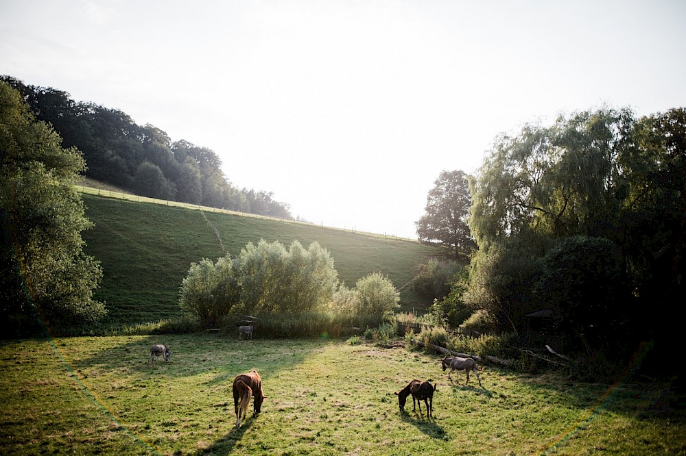 reportage Rustikale Mühlenhochzeit 49