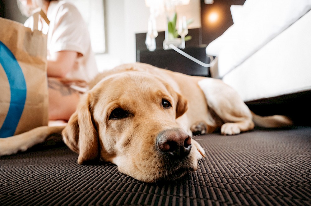 reportage Hochzeitsreportage auf Burg Schwarzenstein 5
