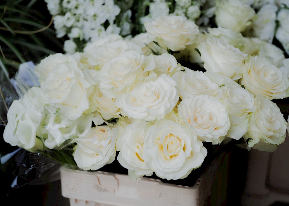 reportage Soraia & Yannik | Sintra, Portugal 10