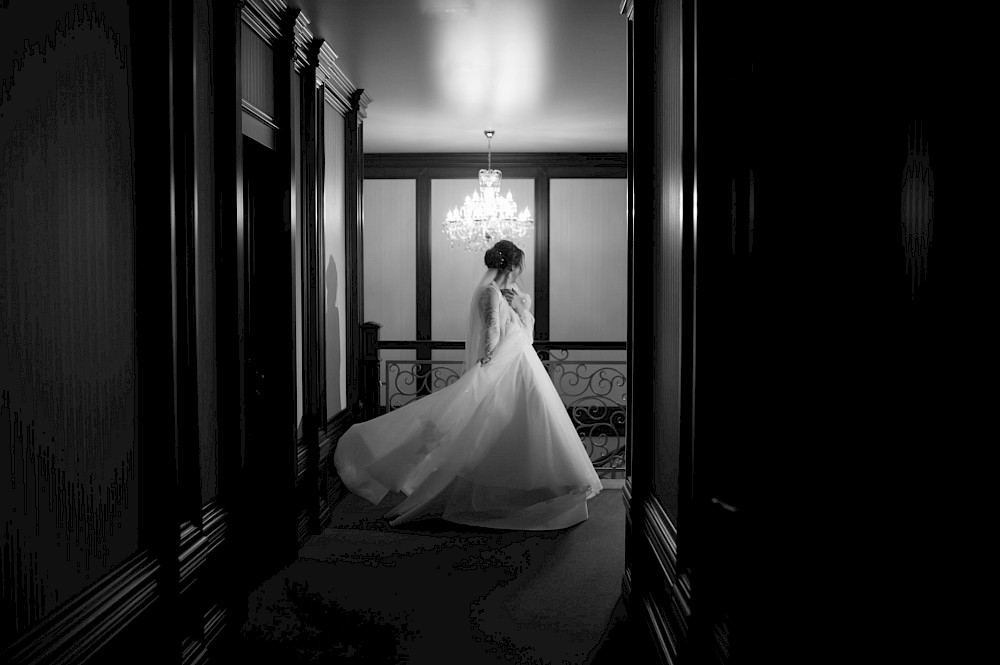 reportage  27