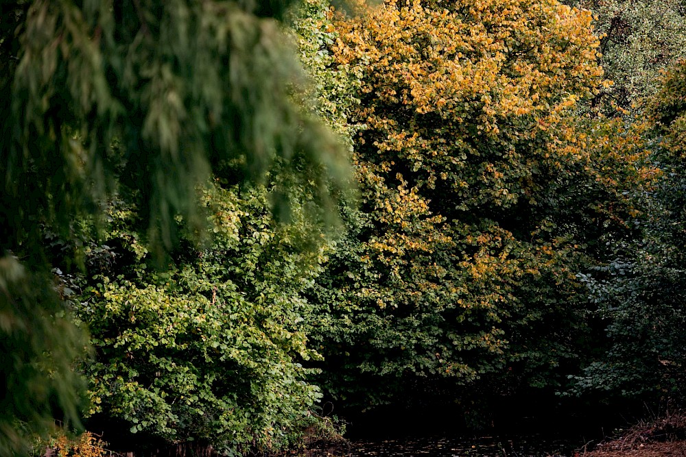 reportage Susi & Chris 2