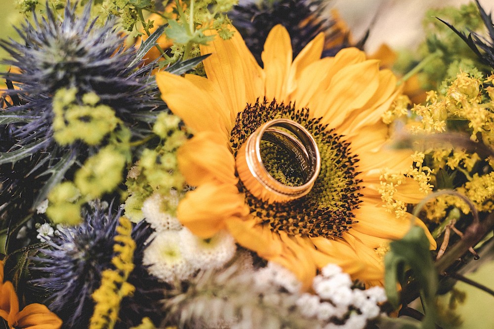 reportage Unbeschwerte Wald und Wiesen Hochzeit 4