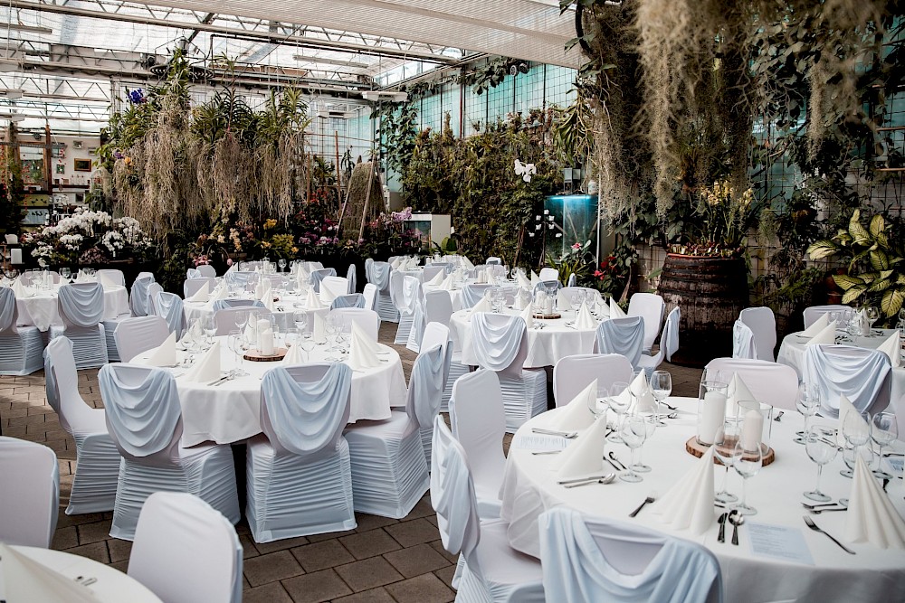 reportage Hochzeit in einem Orchideenhaus in der Schweiz 12