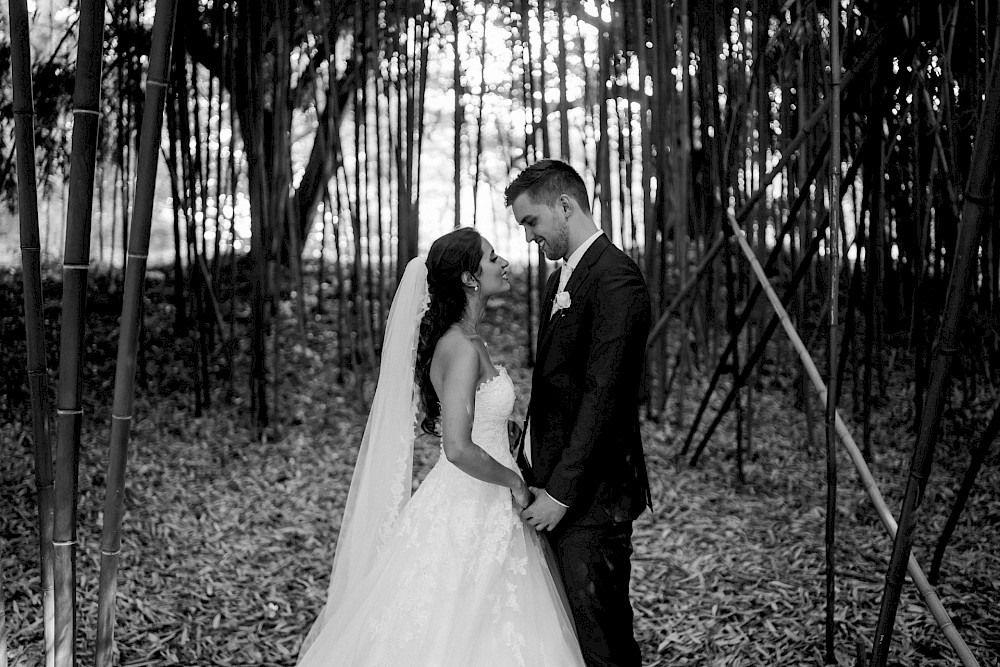 reportage Hochzeit auf der Mainau 42