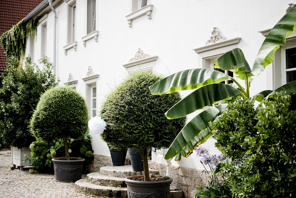 reportage Hochzeit in den Weinbergen 2