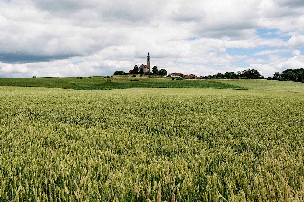 reportage Hochzeit auf Gut Spielberg 2