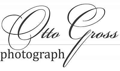 Logo Otto Gross