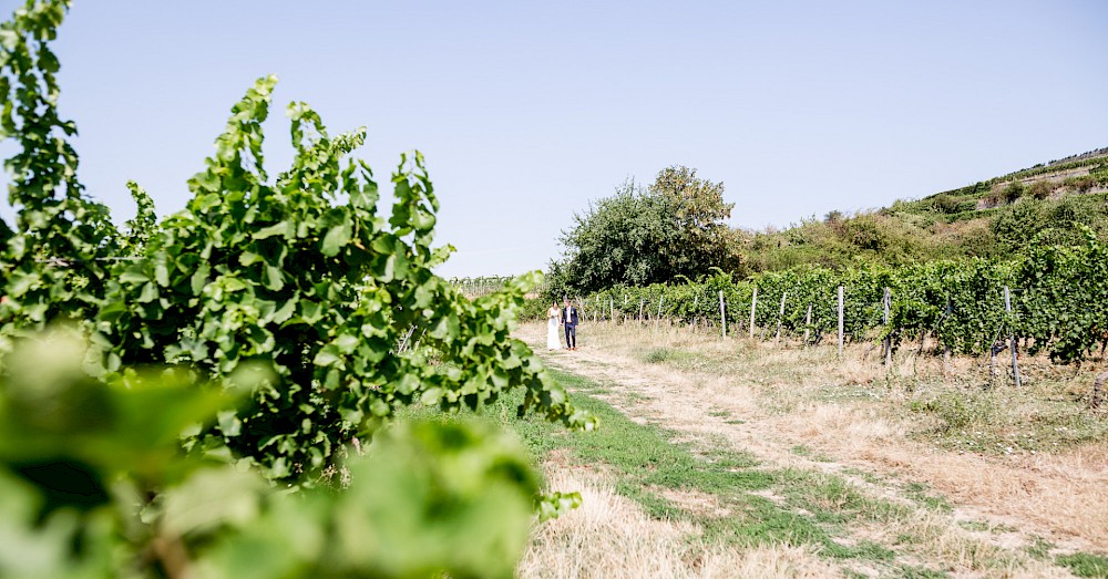 reportage Pia und Felix – Mitten in den Weinreben vom Alten Weingut Bad Dürkheim 16